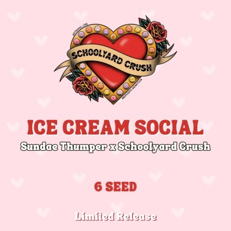Ice Cream Social Mephisto Genetics - confezione semi