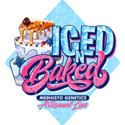Iced 'n' Baked Mephisto Genetics - immagine ufficiale 9