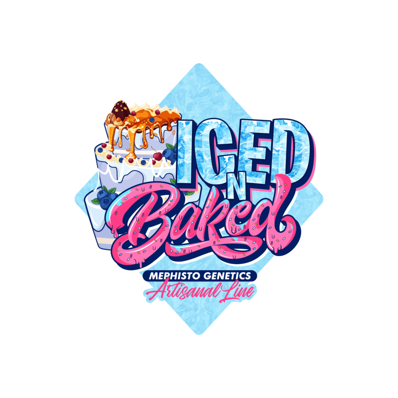 Iced 'n' Baked Mephisto Genetics - immagine ufficiale 9