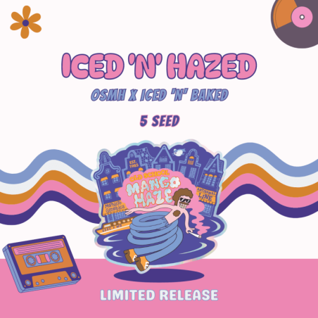 Iced 'n' Hazed Mephisto Genetics - immagine ufficiale