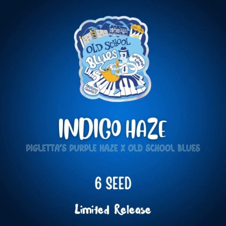 Indigo Haze Mephisto Genetics - confezione semi