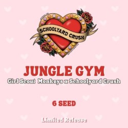 Jungle Gym Mephisto Genetics - confezione semi