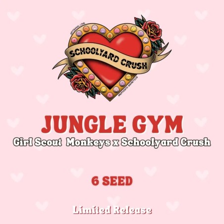 Jungle Gym Mephisto Genetics - confezione semi