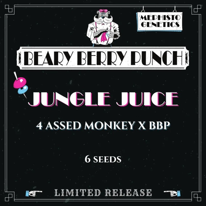 Jungle Juice Mephisto Genetics - confezione semi