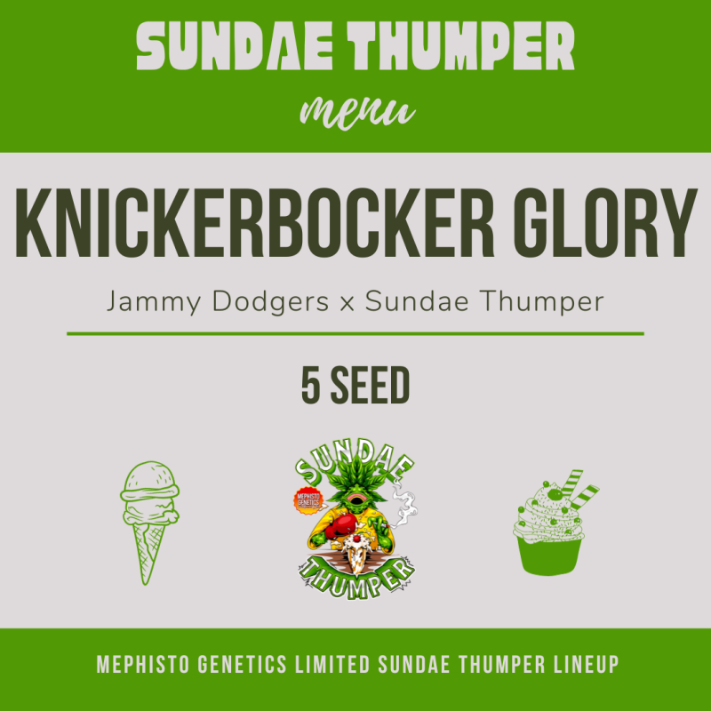 Knickerbocker Glory Mephisto Genetics - cime