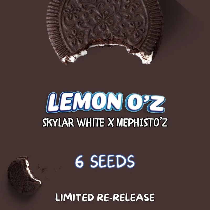 Lemon O'z Mephisto Genetics - confezione semi