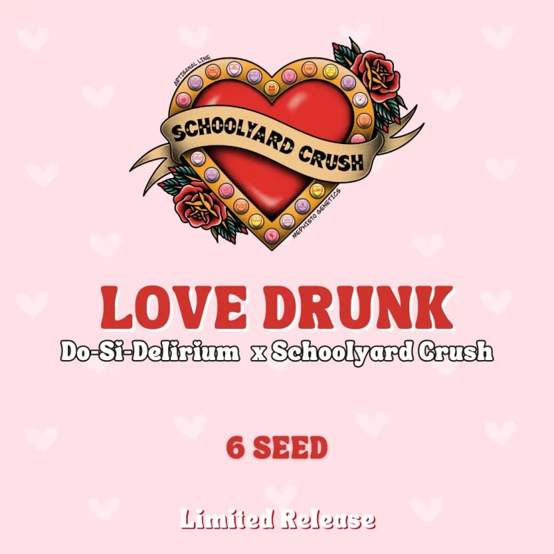 Love Drunk Mephisto Genetics - confezione semi