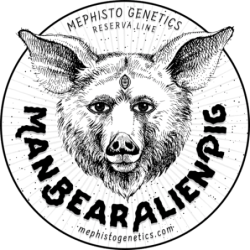 ManBearAlienPig Mephisto Genetics - immagine ufficiale 6
