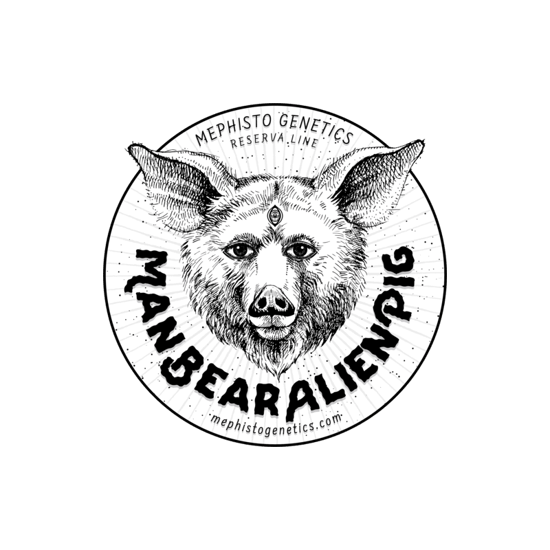 ManBearAlienPig Mephisto Genetics - immagine ufficiale 6
