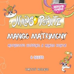 Mango Matrimony Mephisto Genetics - cime