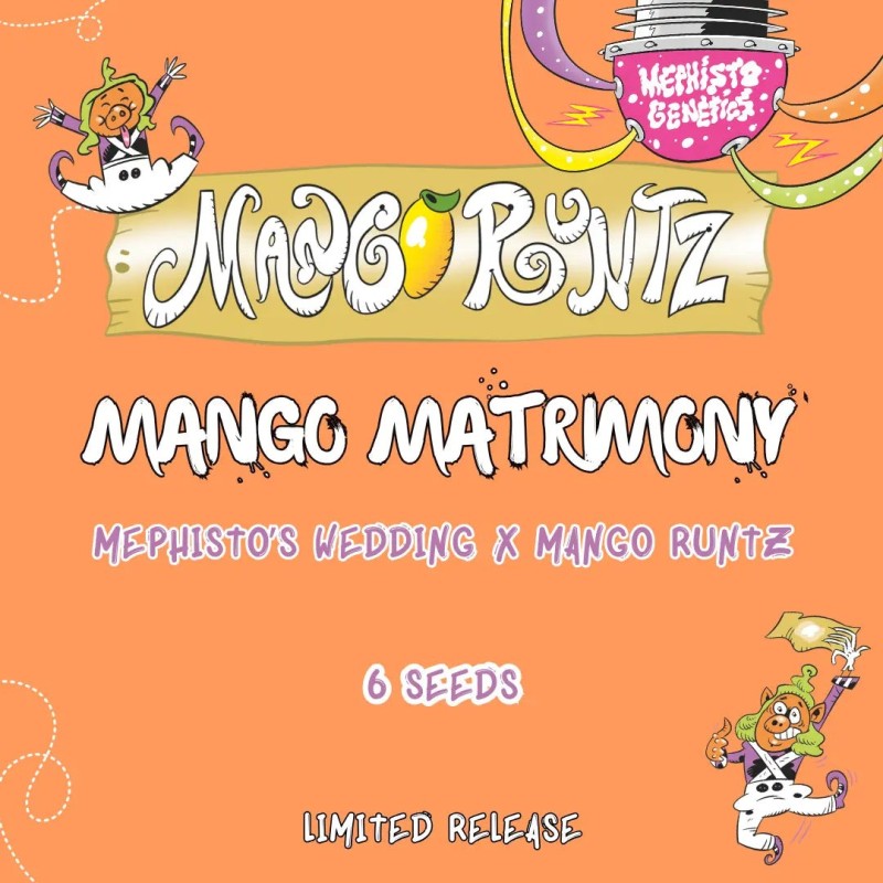 Mango Matrimony Mephisto Genetics - cime