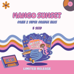 Mango Sunset Mephisto Genetics - immagine ufficiale