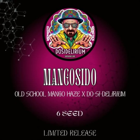 Mangosido Mephisto Genetics - confezione semi
