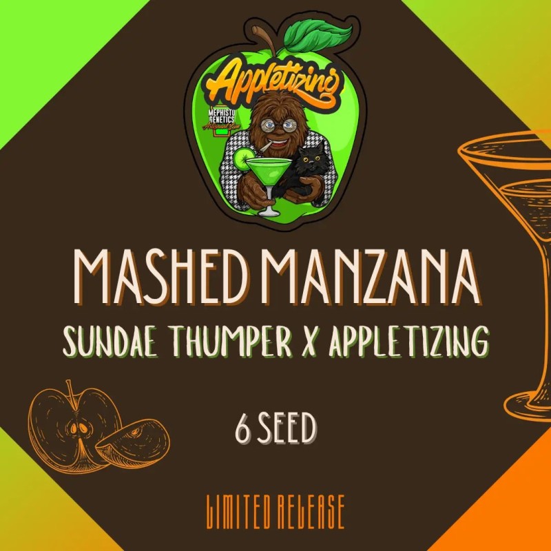 Mashed Manzana Mephisto Genetics - confezione semi