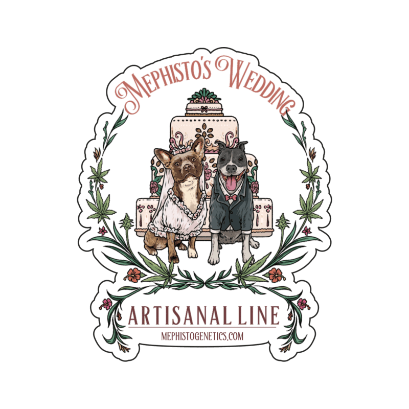 Mephisto's Wedding Mephisto Genetics - immagine ufficiale 6