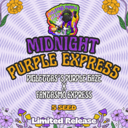 Midnight Purple Express Mephisto Genetics - immagine ufficiale