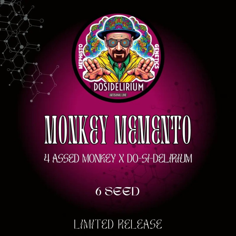 Monkey Memento Mephisto Genetics - confezione semi