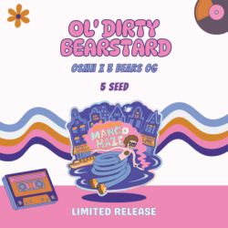Ol' Dirty Bearstard Mephisto Genetics - immagine ufficiale
