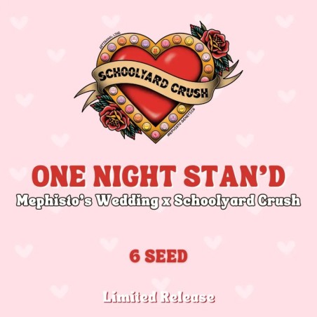 One Night Stan'd Mephisto Genetics - confezione semi