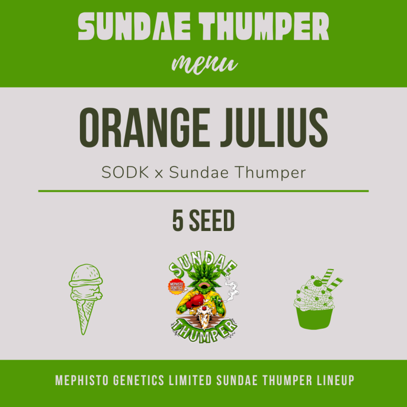 Orange Julius Mephisto Genetics - immagine ufficiale