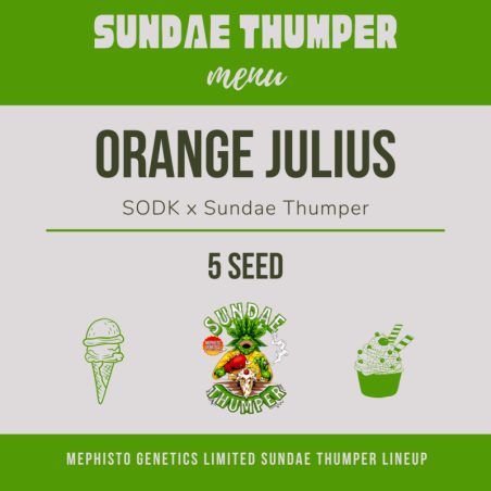 Orange Julius Mephisto Genetics - immagine ufficiale