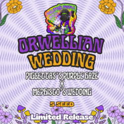Orwellian Wedding Mephisto Genetics - immagine ufficiale