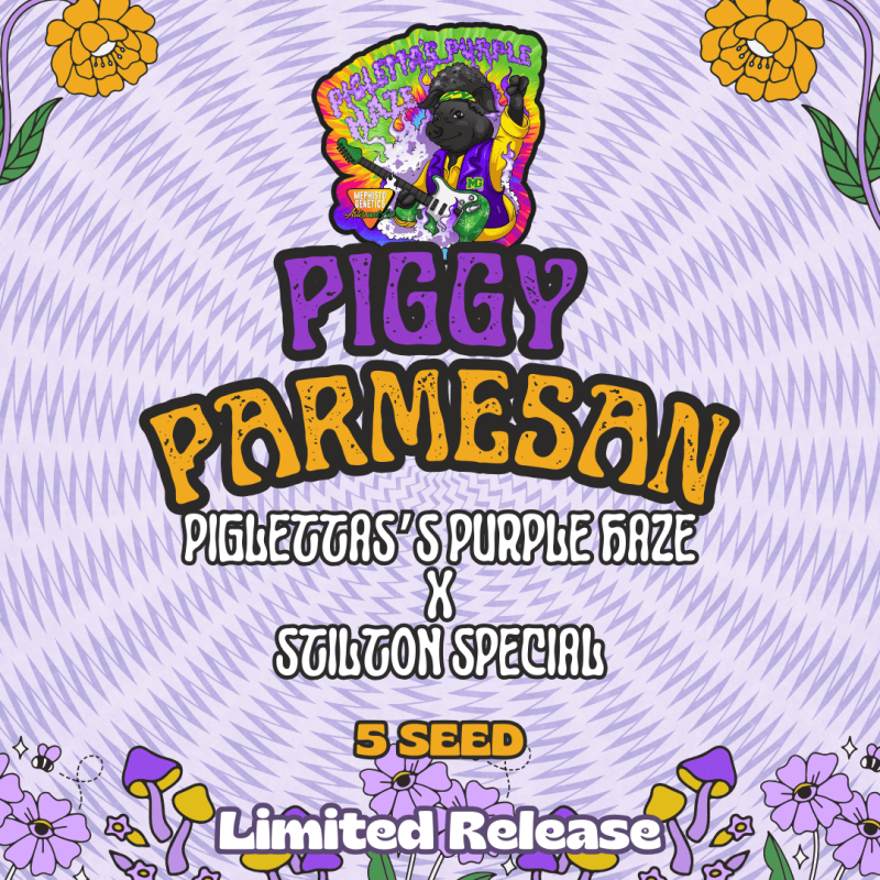 Piggy Parmesan Mephisto Genetics - immagine ufficiale
