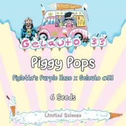 Piggy Pops Mephisto Genetics - confezione semi
