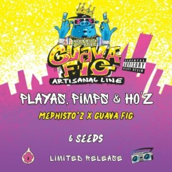 Playas Pimps & HO'z Mephisto Genetics - confezione semi