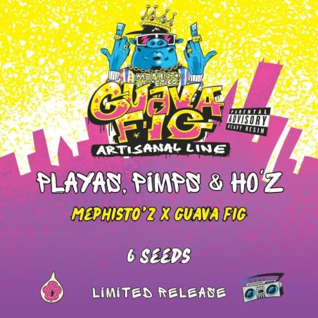 Playas Pimps & HO'z Mephisto Genetics - confezione semi