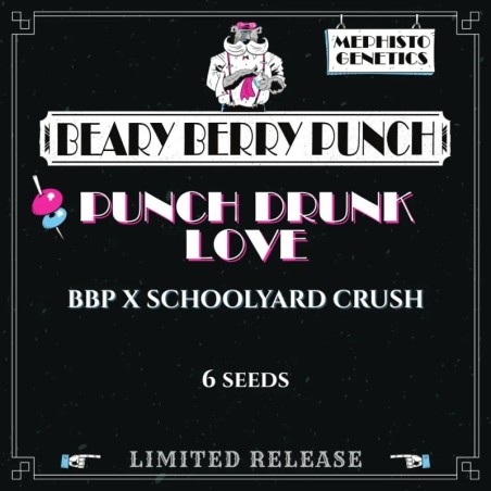 Punch Drunk Love Mephisto Genetics - confezione semi