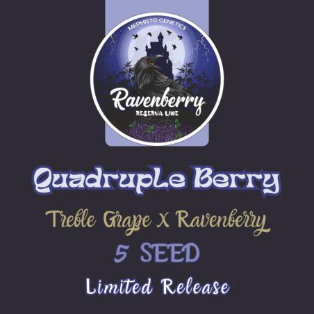 Quadruple Berry Mephisto Genetics - cime