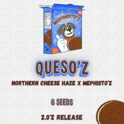 QuesO'z Mephisto Genetics - immagine ufficiale