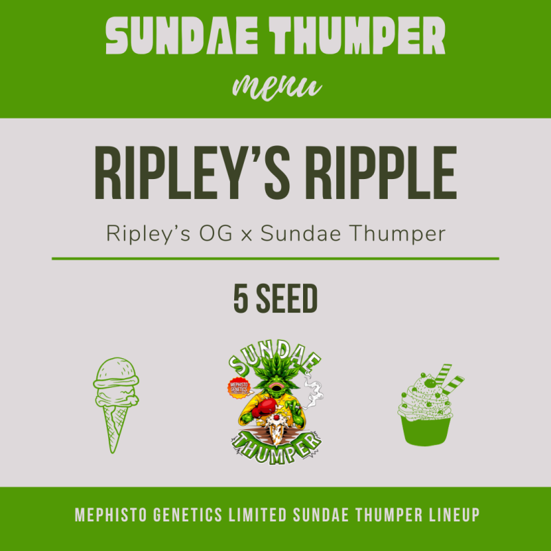 Ripley's Ripple Mephisto Genetics - cime