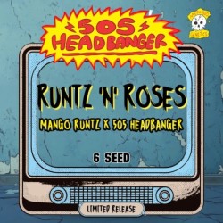 Runtz 'n' Roses Mephisto Genetics - confezione semi