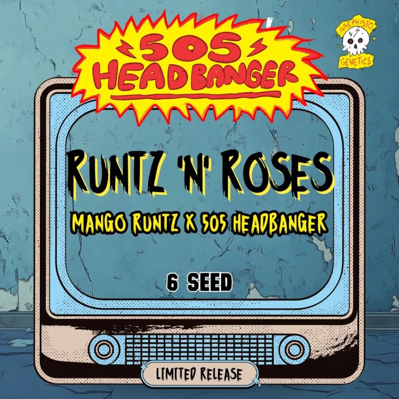 Runtz 'n' Roses Mephisto Genetics - confezione semi
