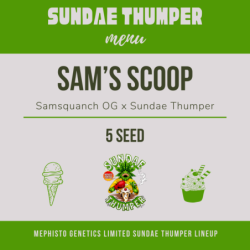 Sam's Scoop Mephisto Genetics - cime