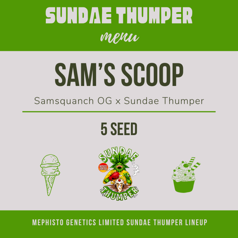 Sam's Scoop Mephisto Genetics - cime