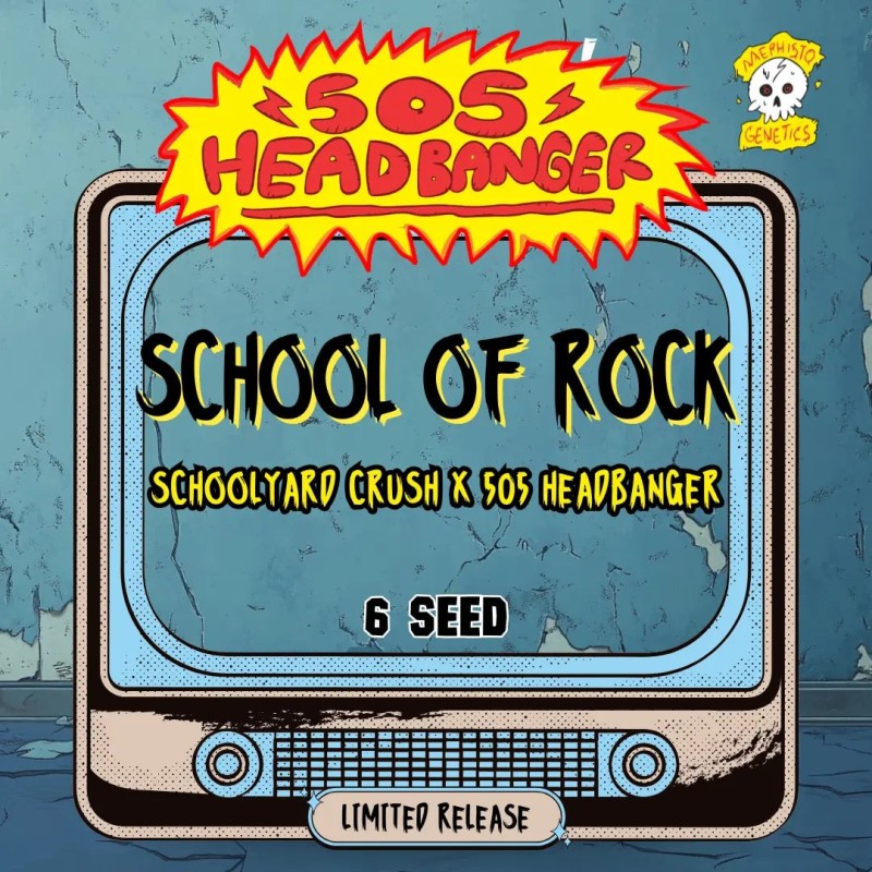 School of Rock Mephisto Genetics - confezione semi
