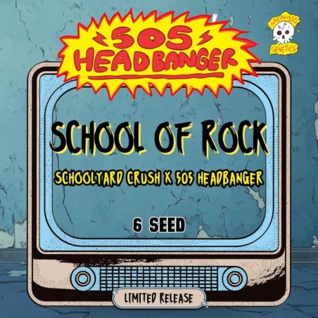 School of Rock Mephisto Genetics - confezione semi