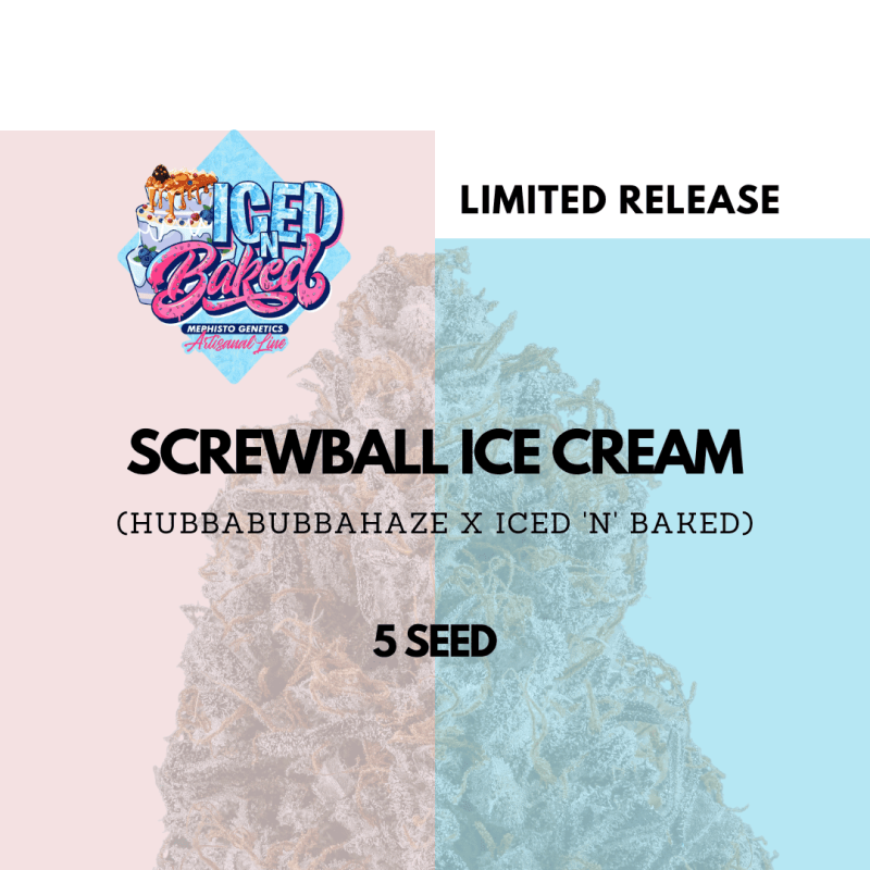 Screwball Ice Cream Mephisto Genetics - cime