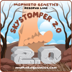 Skystomper 2.0 Mephisto Genetics - immagine ufficiale 6