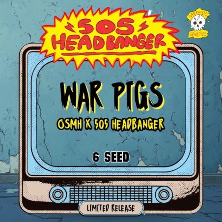 War Pigs Mephisto Genetics - confezione semi
