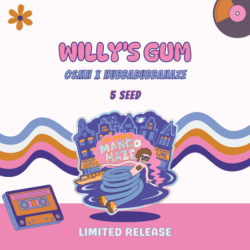 Willy's Gum Mephisto Genetics - immagine ufficiale