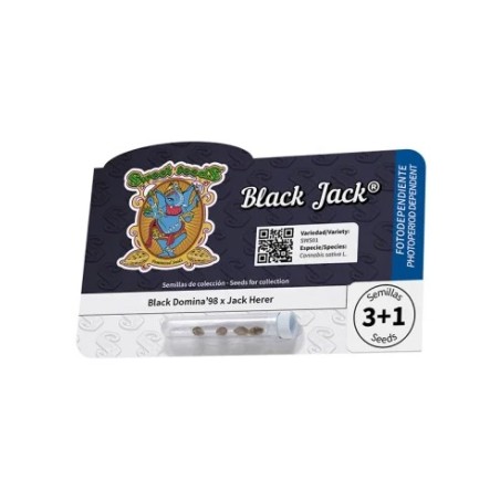 Black Jack® - Sweet Seeds®