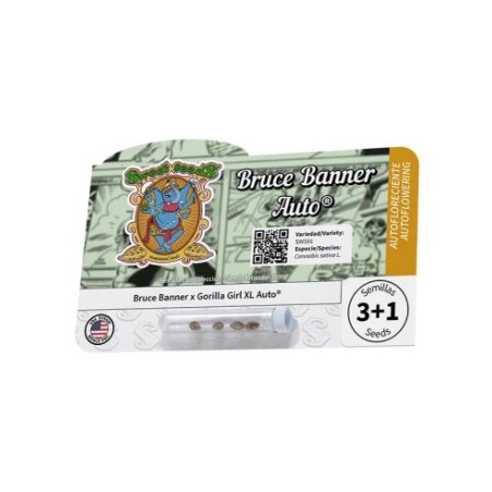 Bruce Banner Auto®
