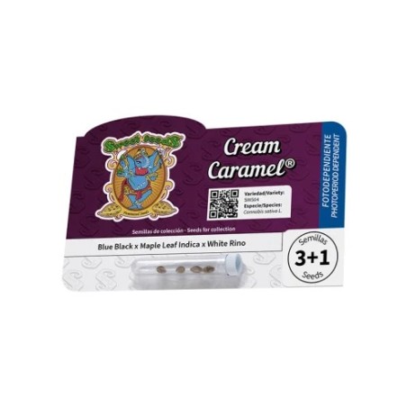 Cream Caramel® - Sweet Seeds®