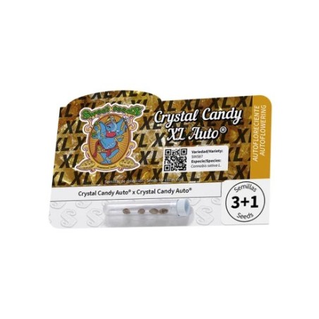 Crystal Candy XL Auto® - Sweet Seeds®