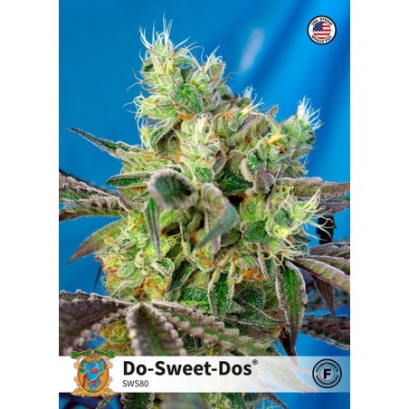 Do-Sweet-Dos semi cannabis Sweet Seeds
