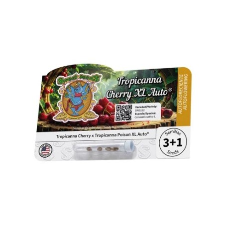Tropicanna Cherry XL Auto®